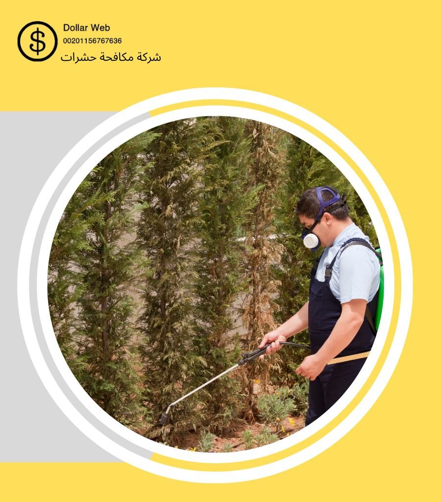 مكافحة حشرات في الدمام