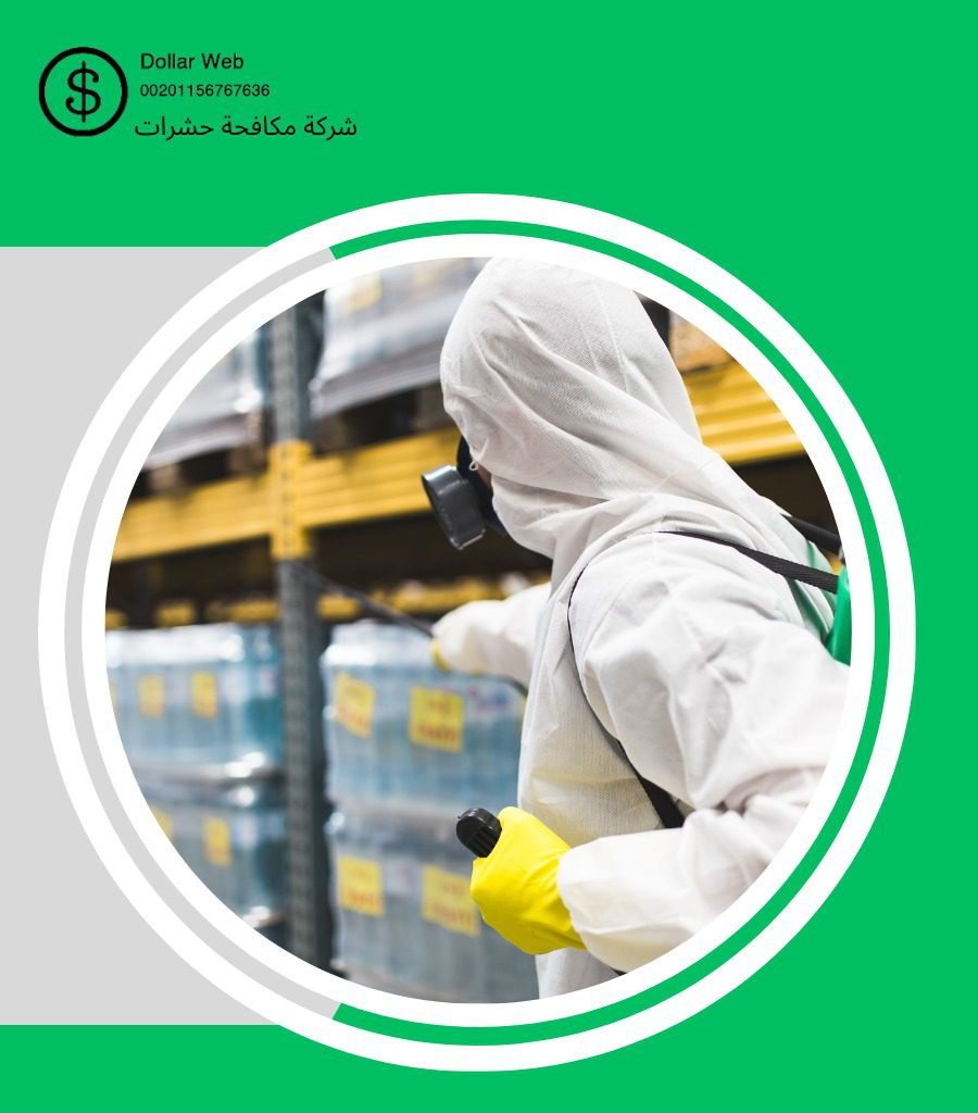 رش حشرات العنود بالدمام